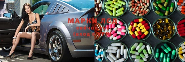 СК Аркадак
