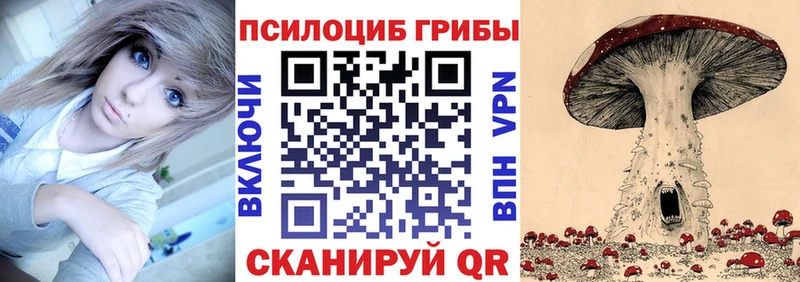 Псилоцибиновые грибы Psilocybine cubensis  нарко площадка телеграм  Ногинск 